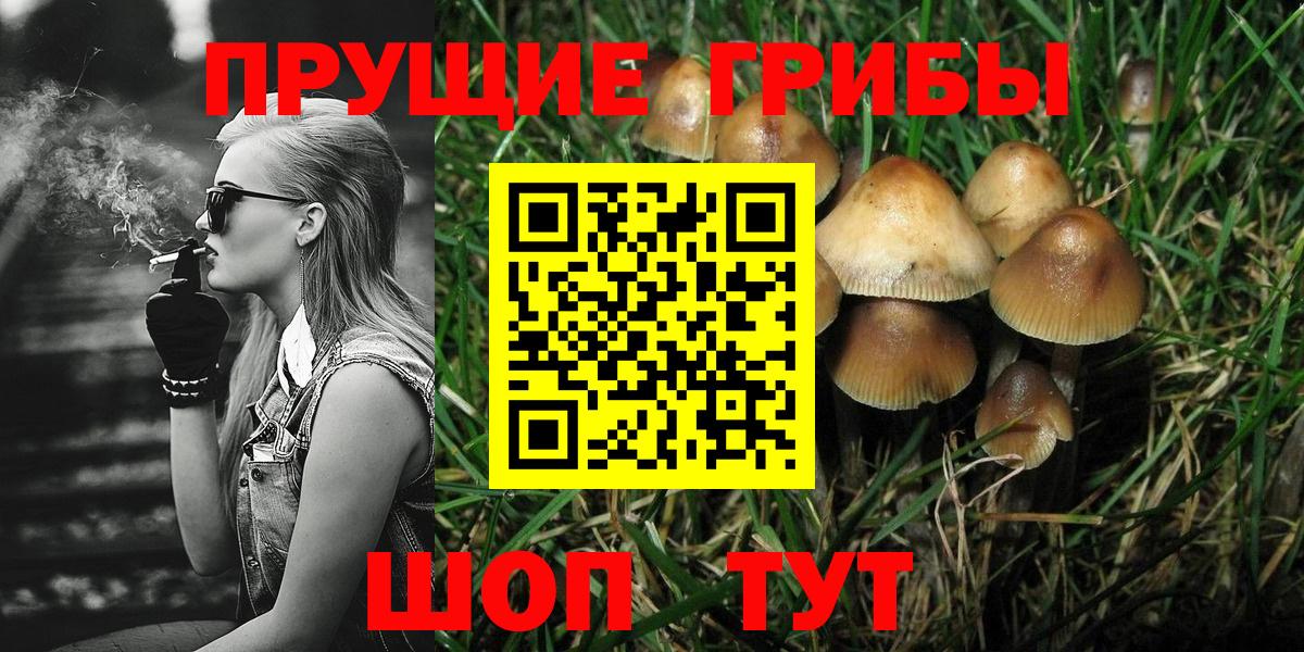 Псилоцибиновые грибы Magic Shrooms  закладка  Йошкар-Ола  Вход с VPN 