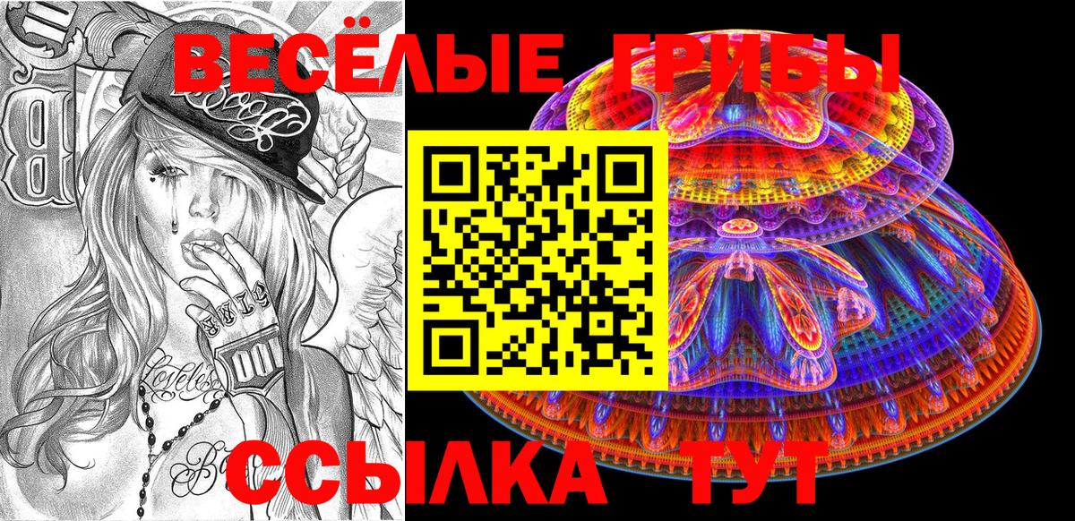 Галлюциногенные грибы Cubensis Йошкар-Ола